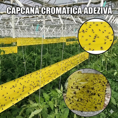 AgroScut Galben(2,20m)