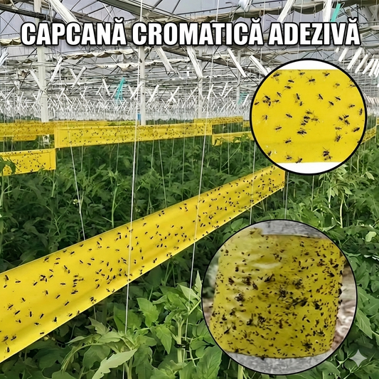 AgroScut Galben(2,20m)