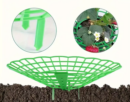 Set 5 Suporți Anti-Putrezire pentru Căpșuni și Flori
