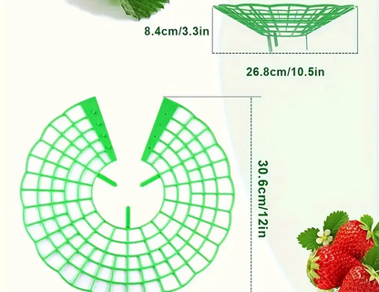 Set 5 Suporți Anti-Putrezire pentru Căpșuni și Flori