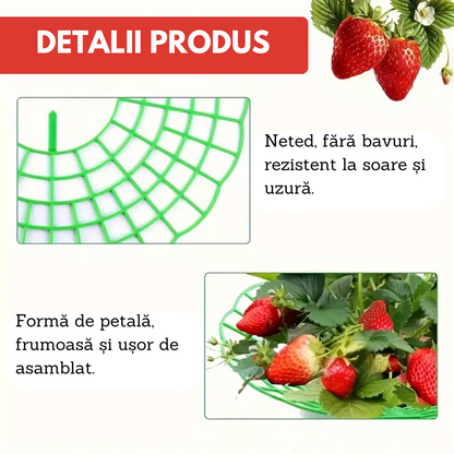 Set 5 Suporți Anti-Putrezire pentru Căpșuni și Flori