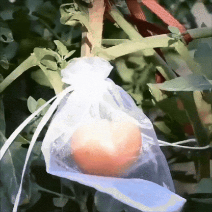 Plasa ProFruct(50 buc)