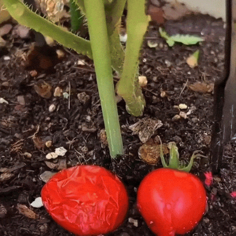 Plasa ProFruct(50 buc)