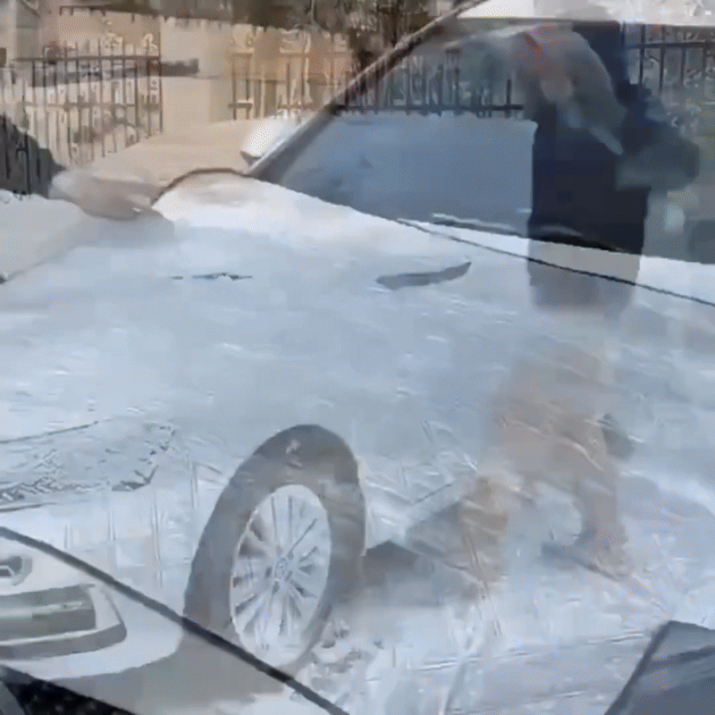 Protecție Auto Parbriz