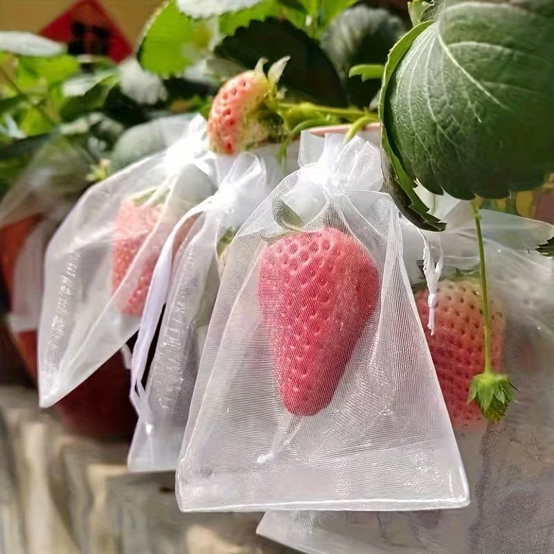 Plasa ProFruct(50 buc)