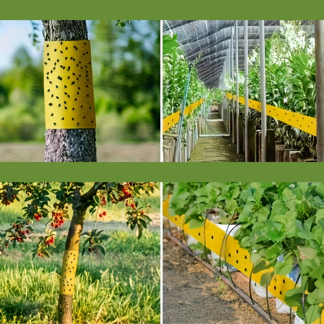 AgroScut Galben(2,20m)